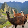 Family Holidays to South America
